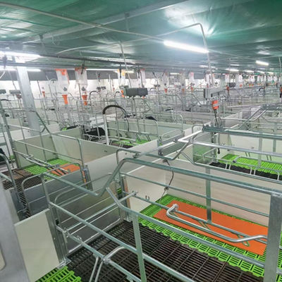 La Chambre de porc légère de structure métallique a galvanisé les bâtiments agricoles préfabriqués