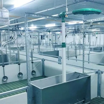 La Chambre de porc légère de structure métallique a galvanisé les bâtiments agricoles préfabriqués