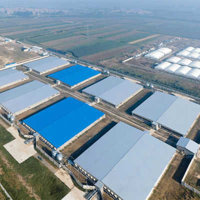 Chambre en acier ignifuge gigaoctet de volaille de ferme légère de structure métallique