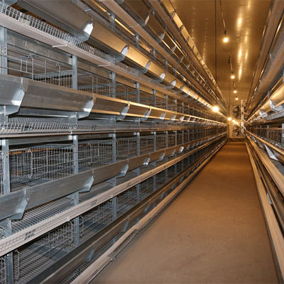 Chambre en acier ignifuge gigaoctet de volaille de ferme légère de structure métallique