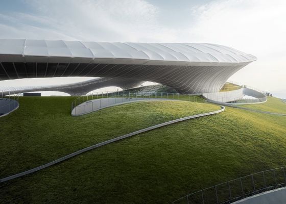 Gymnase préfabriqué adapté aux besoins du client de bâtiments en métal du stade Q355 de structure métallique