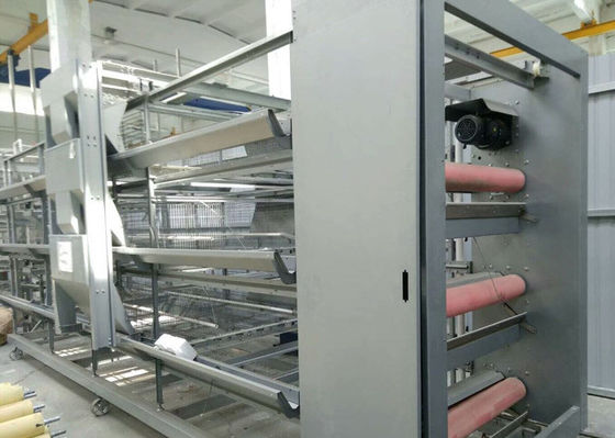 Chambre de poulet en acier protégeant du vent galvanisée de Chambre de volaille de structure métallique