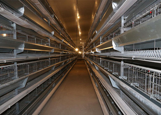 Cage de poulet protégeant du vent galvanisée de cadre en acier de ferme de structure métallique