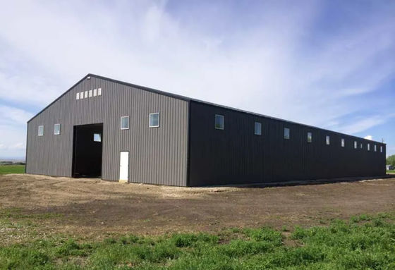 Bâtiment protégeant du vent préfabriqué léger d'atelier en métal de structure métallique d'entrepôt