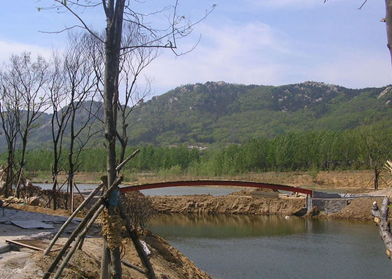 La construction de pont en structure métallique de Q355B a galvanisé préfabriqué
