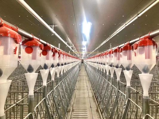 Le portail protégeant du vent de Chambre de porc de structure métallique a préfabriqué le cadre en acier ISO9001