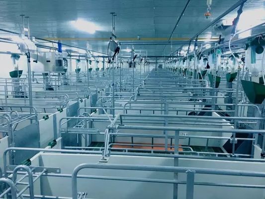 Le portail protégeant du vent de Chambre de porc de structure métallique a préfabriqué le cadre en acier ISO9001