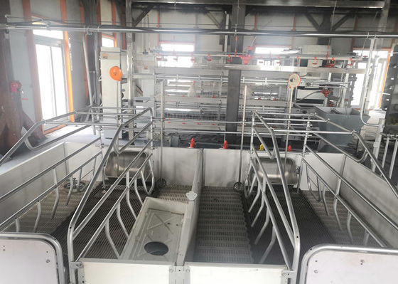 Chambre de porc protégeant du vent de cadre de construction portaile en acier préfabriquée de structure