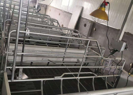 Chambre de porc protégeant du vent de cadre de construction portaile en acier préfabriquée de structure
