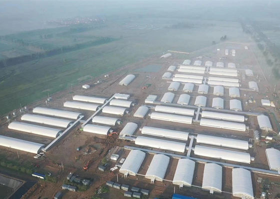 Q355 / La Chambre de porc de la structure métallique Q235 ignifugent les bâtiments en acier industriels