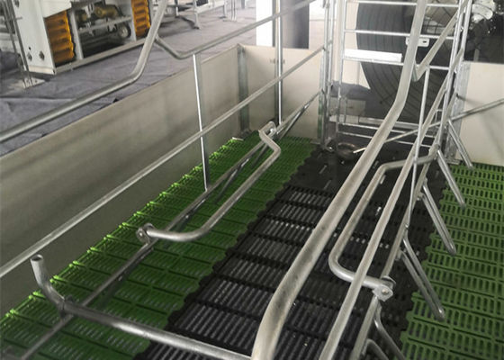 La Chambre de porc préfabriquée fabriquée de structure métallique a galvanisé industriel