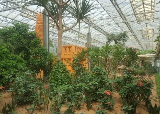 Serre chaude verte de verre trempé de jardin d'usine pour de grandes fleurs ornementales