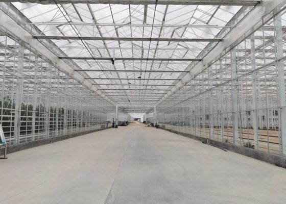Serre chaude verte de verre trempé de jardin d'usine pour de grandes fleurs ornementales