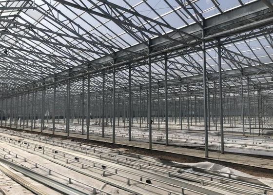 Serre chaude verte de verre trempé de jardin d'usine pour de grandes fleurs ornementales