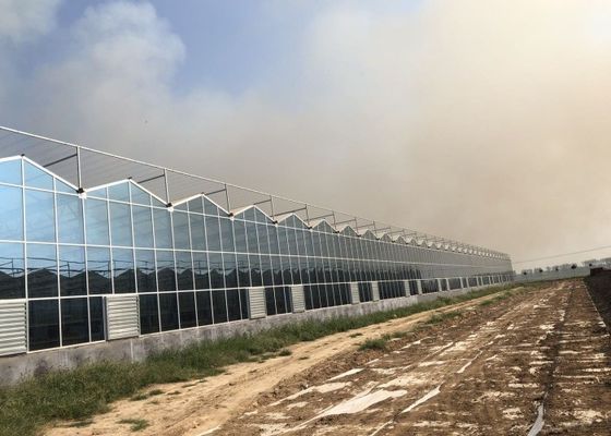 Serre chaude verte de verre trempé de jardin d'usine pour de grandes fleurs ornementales