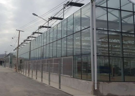 Verre galvanisé à haute teneur de serre de tuyau couvrant le message publicitaire