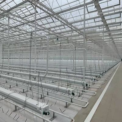 Expérience d'enseignement de la culture de tomates dans une serre en verre