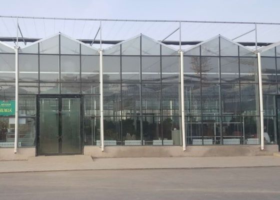 Message publicitaire de tuyau galvanisé par serre chaude en verre de Venlo de haute catégorie