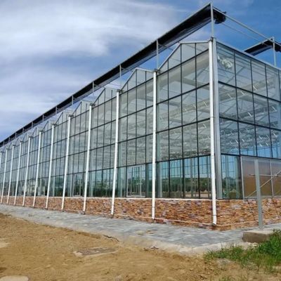 Plantation multicouche de culture de serre chaude en verre Soilless végétale de culture