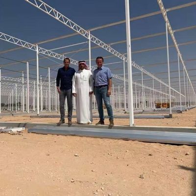 Plantation multicouche de culture de serre chaude en verre Soilless végétale de culture