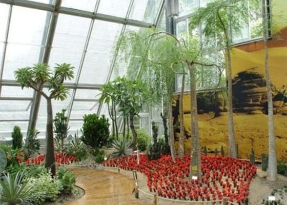 Jardin d'hiver Salle de lumière du soleil Petite serre en verre Venlo en acier décontractée