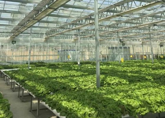 Visite Venlo Serre en verre Serre à revêtement en verre en forme sur mesure