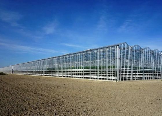 Visite Venlo Serre en verre Serre à revêtement en verre en forme sur mesure