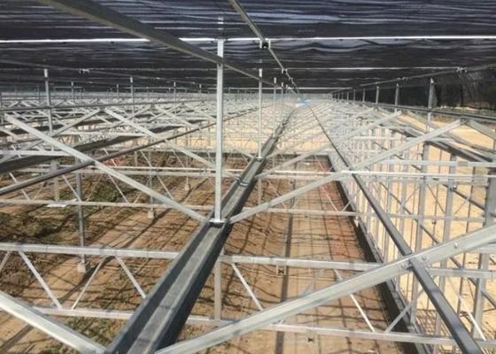 Visite Venlo Serre en verre Serre à revêtement en verre en forme sur mesure