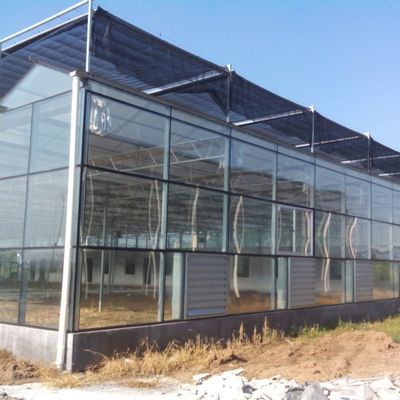 Serre de semis en verre pour légumes à haut rendement pour tomates / concombres
