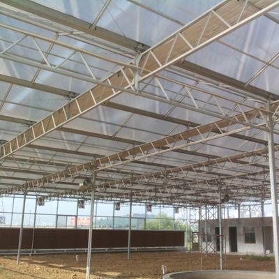 Serre de semis en verre pour légumes à haut rendement pour tomates / concombres