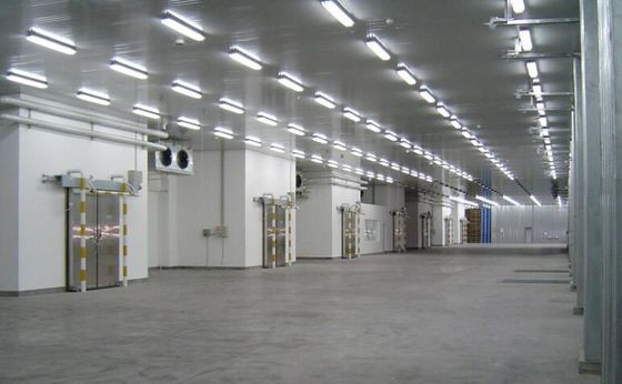 Isolement en acier en option entrepôt avec plaque d'acier couleur mur