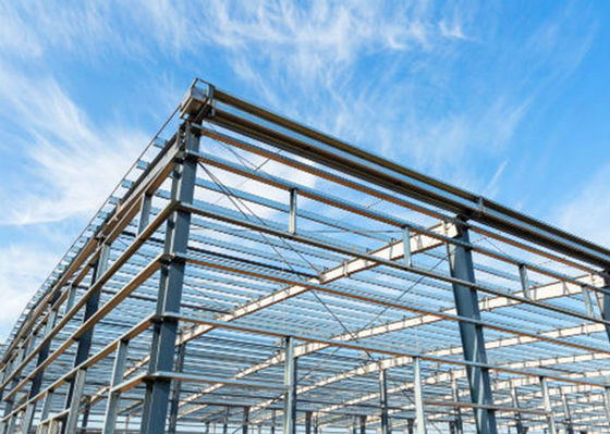 Structure métallique d'entrepôt de structure métallique de grille habituelle de fabrication