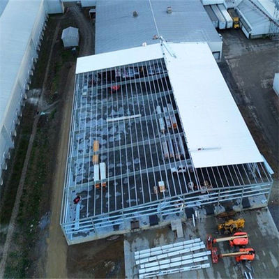 Q355/ Q235 Construction d'atelier d'acier avec option et isolation