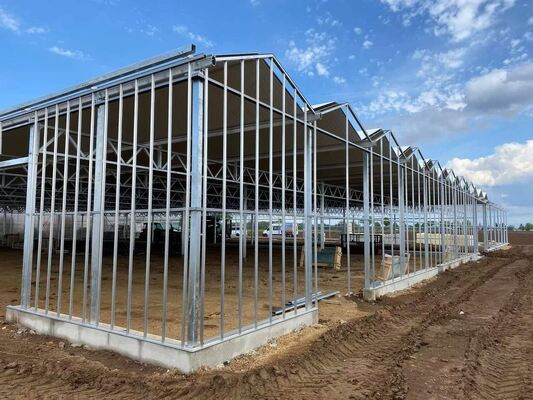 Serre en verre panoramique Venluo - Serre de culture de légumes à grande échelle