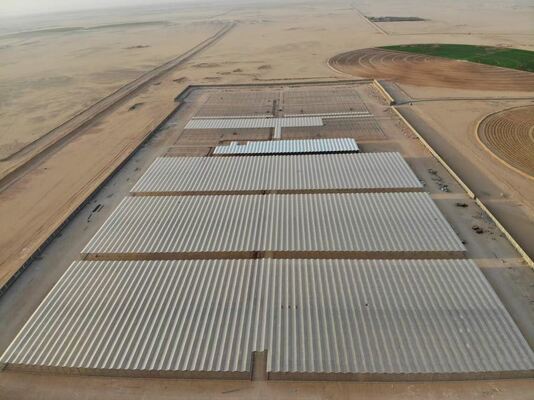 Utilisation pour la plantation agricole, serre en verre panoramique Wannuo
