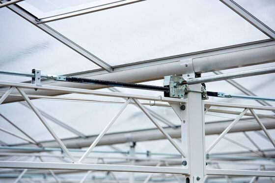 Utilisation pour la plantation agricole, serre en verre panoramique Wannuo