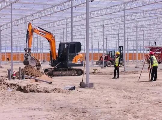 Une serre en film de polyéthylène à bande continue pour la culture de fleurs de haute qualité