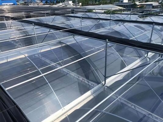 Serre de verre touristique de Wenlu - Serre à grande échelle pour la plantation de fruits