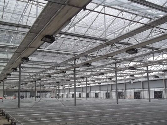 Serre pour la culture des fruits, grande serre en verre pour le tourisme Woonloos